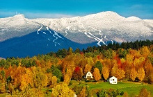 Trees with Fall Colors and Mountains with Snow